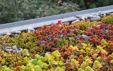 the cost of West Halton green roof installation