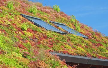 West Halton living roof systems
